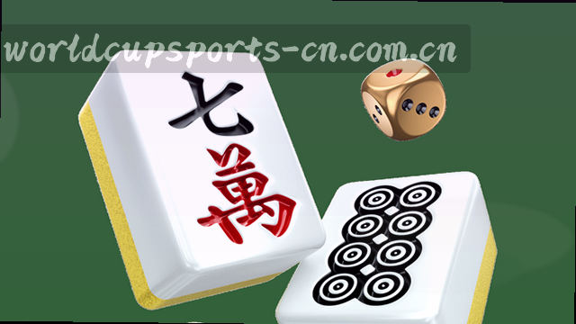 聚焦全场景，随时回应您的需求